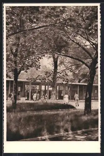 AK Wien, Städtisches Strandbad Gänsehäufel