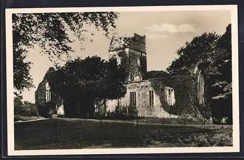 AK Killarney, Blick auf die Muckross Abtei