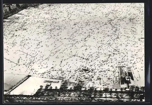 AK Zürich, Zürichseegfrörni 1963, Fliegeraufnahme