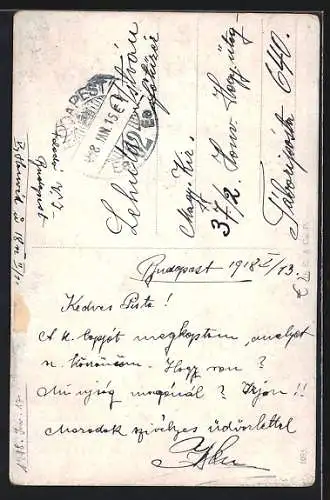 AK Wildenten an einem Teich