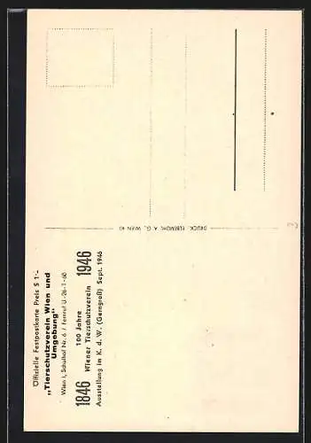 AK Tierschutzverein Wien und Umgebung, drei Hundewelpen