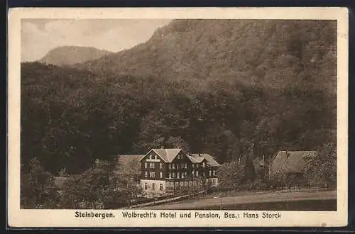 AK Steinbergen, Wolbrecht`s Hotel und Pension v. Hans Storck