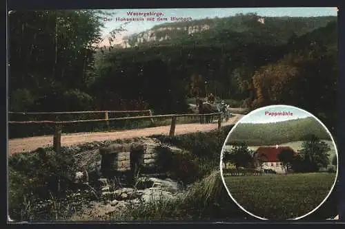 AK Zersen, Gasthaus Pappmühle und Blutbach, Hohenstein im Wesergebirge