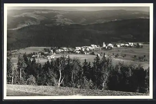 AK Fischbach, Ortsansicht aus der Vogelschau