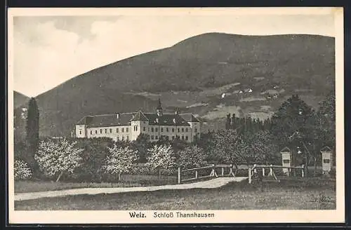 AK Weiz, Blick aufs Schloss Thannhausen