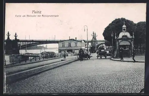 AK Mainz, Partie am Rheinufer mit Rheinpromenade