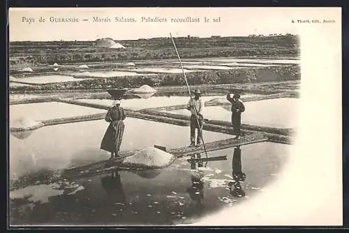 AK Guérande, Marais Salants, Paludiers recuillant le sel, Saline