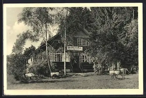 AK Königsfeld / Schwarzwald, Cafe Haus Alblick