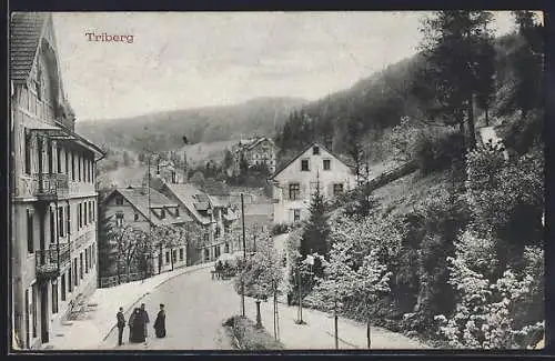 AK Triberg, Teilansicht mit Anwohnern