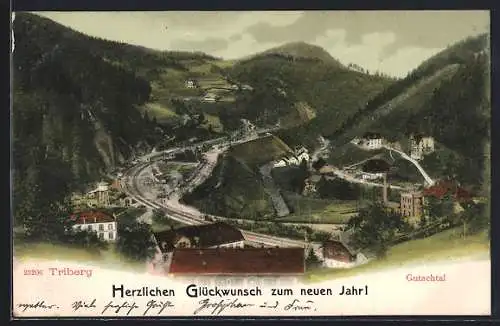 AK Triberg, Totale des Ortes im Gutachtal