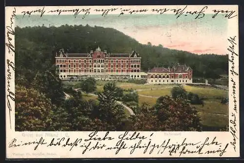 AK Alland i. G., Blick auf die Heilanstalt über Bäume hinweg