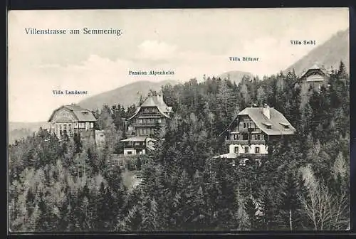 AK Semmering /N. Oe., Villenstrasse mit den Villen Landauer, Alpenheim, Bittner und Seibl