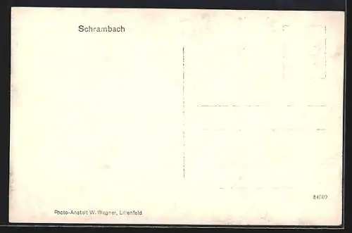 AK Schrambach, Totalansicht mit Bergpanorama aus der Vogelschau