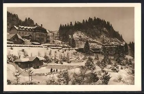 AK Gösing /Mariazellerbahn, Hotel Gösing im Winter, Altes Hotel, Wandelgang, Villa und Bad