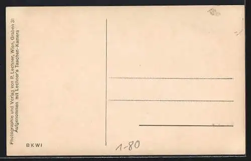 AK Wien, Kaiser-Jubiläums-Huldigungs-Festzug 1908