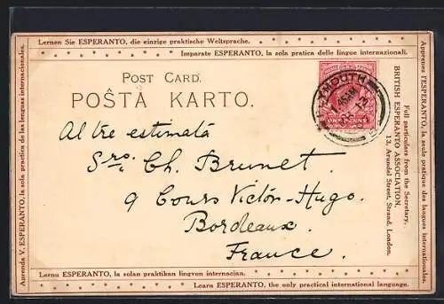 AK Esperanto-Postkarte mit Erklärung