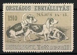 Reklamemarke Budapest, Országos Ebkiállítás 1910, Hundeabbildung