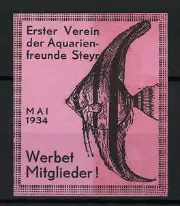 Reklamemarke Steyr, Erster Verein der Aquarienfreunde, Fisch, Mai 1934