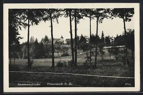 AK Echsenbach, Ortsansicht vom Wald aus