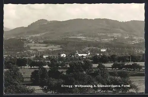 AK Ernegg-Wolfpassing b. Steinakirchen, Panorama der Ortschaft