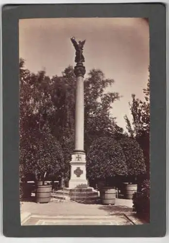 8 Fotografien J. F. Stiehm, Berlin, Ansicht Potsdam, Schloss Babelsberg, Siegessäule, Sanssouci, Schloss Kleinglienicke