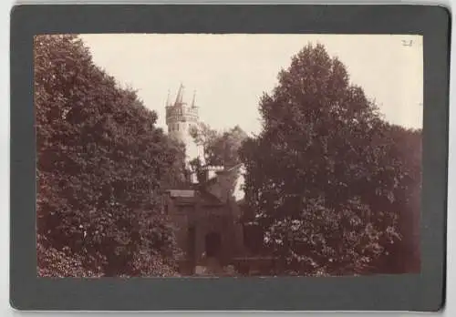 8 Fotografien J. F. Stiehm, Berlin, Ansicht Potsdam, Schloss Babelsberg, Siegessäule, Sanssouci, Schloss Kleinglienicke