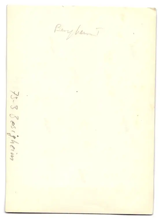 Fotografie unbekannter Fotograf, Ansicht Besigheim, Blick nach der Stadt mit Wehr 1