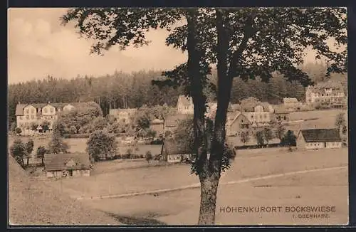 AK Bockswiese /Harz, Ortsansicht von einem Hang aus