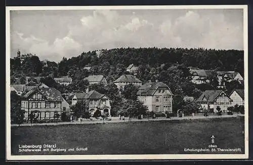 AK Liebenburg /Harz, Schäferwiese mit Schloss, Burgberg, St. Theresienstift aus der Vogelschau