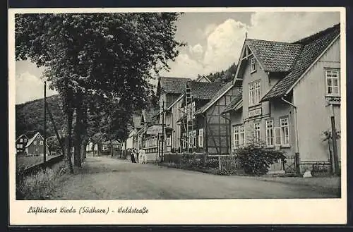 AK Wieda /Harz, Waldstrasse mit Bergblick