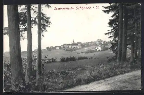 AK Schöneck i. V., Ortsansicht vom Wald aus