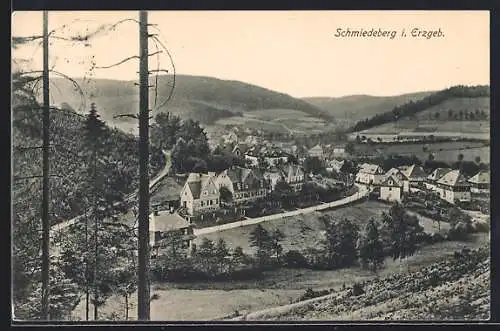 AK Schmiedeberg / Erzg., Ortsansicht