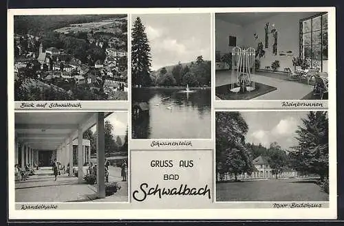 AK Bad Schwalbach, Wandelhalle, Weinbrunnen und Moor-Badehaus