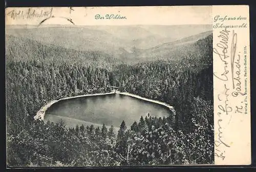 AK Wildsee /Schwarzwald, Der See aus der Vogelschau