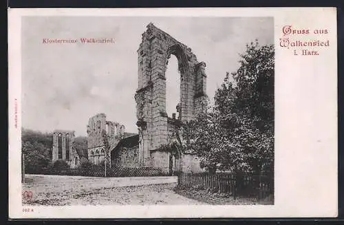 AK Walkenried i. Harz, Blick auf die Klosterruine Walkenried