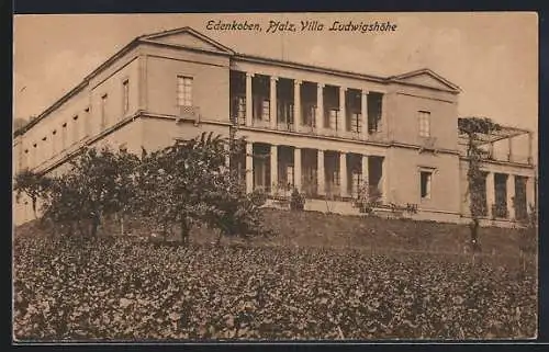 AK Edenkoben /Pfalz, Villa Ludwigshöhe