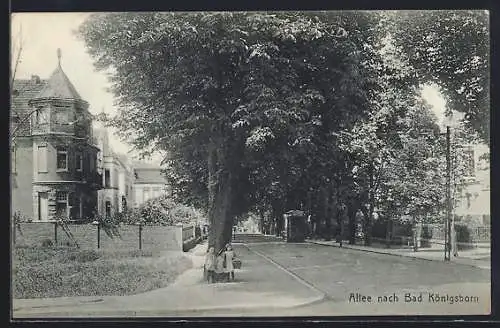 AK Bad Königsborn, Allee mit Strassenbahn