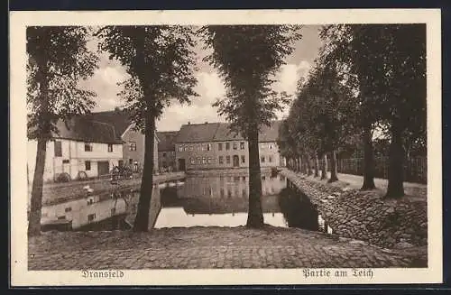 AK Dransfeld, Partie am Teich