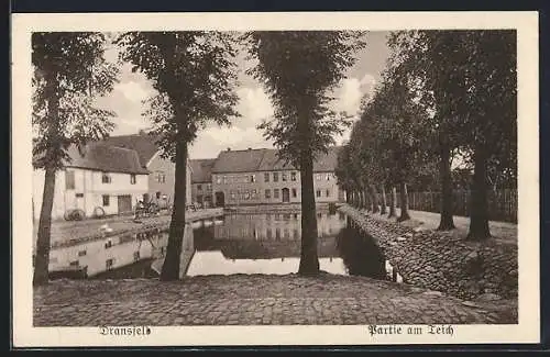 AK Dransfeld, am Teich