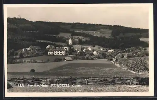 AK Wenigzell /Oststm., Ortsansicht im Sonnenschein