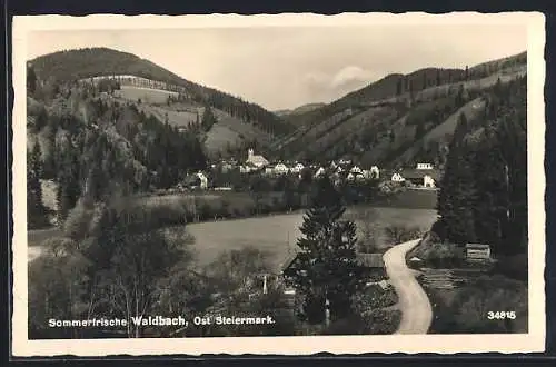 AK Waldbach /Ost Steiermark, Ortsansicht aus der Vogelschau