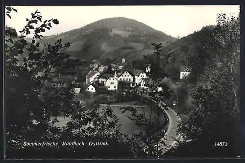 AK Waldbach /Oststmk., Ortsansicht vom Wald aus