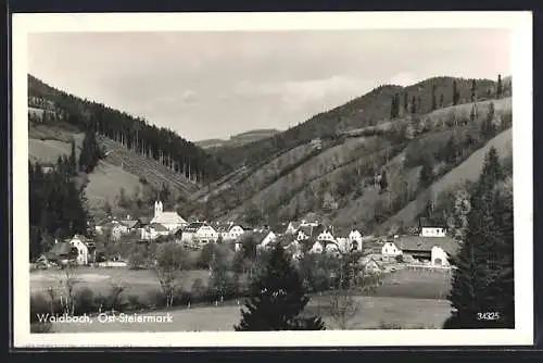 AK Waldbach /Ost-Steiermark, Ortsansicht vom Wald aus