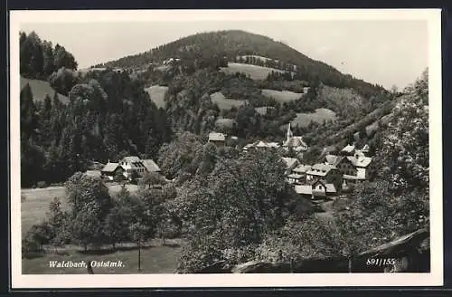 AK Waldbach /Oststmk., Ortsansicht mit Berg