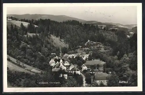 AK Waldbach /Oststmk., Teilansicht mit Ortskirche