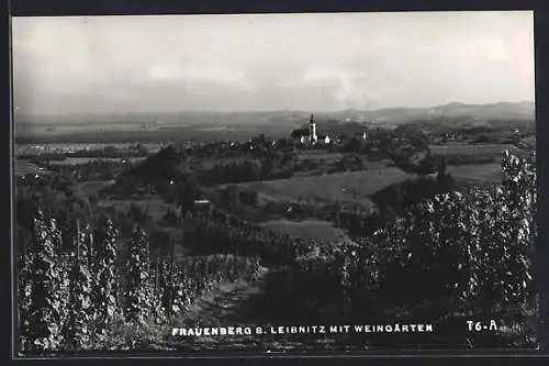 AK Frauenberg bei Leibnitz, Ortsansicht aus der Ferne mit Weingärten