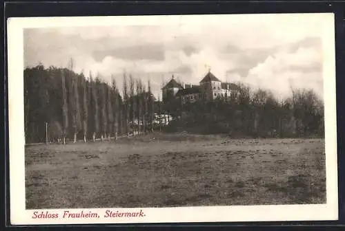 AK Schloss Frauheim, Ansicht mit Strasse von einer Wiese aus