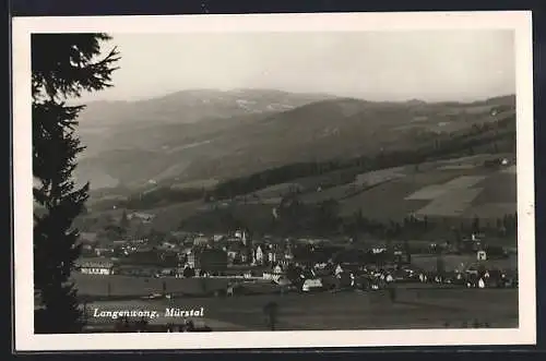 AK Langenwang /Mürztal, Gesamtansicht mit Umgebung