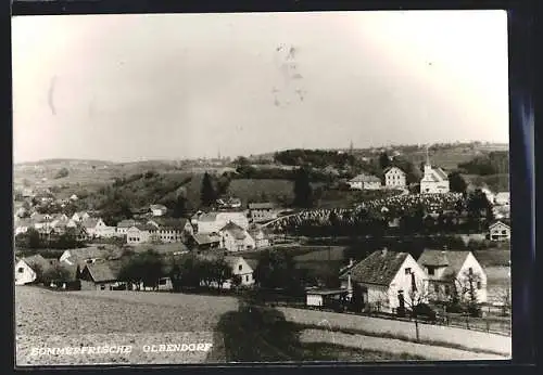 AK Olbendorf, Ortsansicht von einem Hang aus