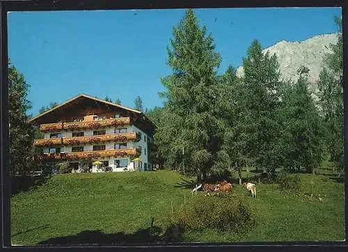 AK Ramsau am Dachstein, Hotel-Pension Rösslhof H. B. Walcher mit Weide und Bergblick